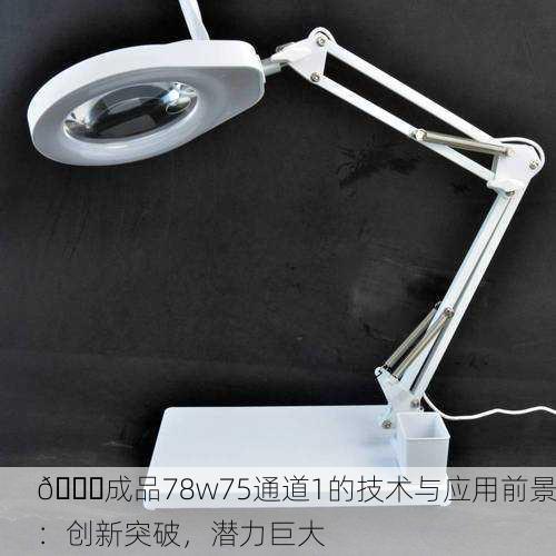 🔍成品78w75通道1的技术与应用前景：创新突破，潜力巨大