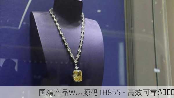 国精产品W灬源码1H855 - 高效可靠💎