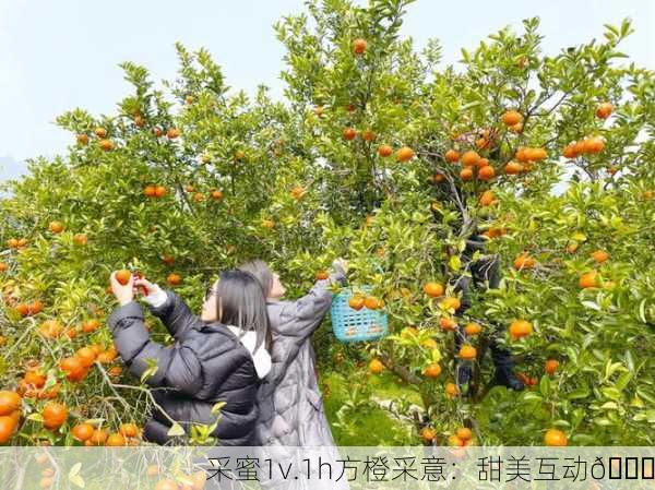 采蜜1v.1h方橙采意：甜美互动🍊