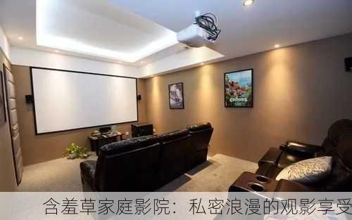 含羞草家庭影院：私密浪漫的观影享受
