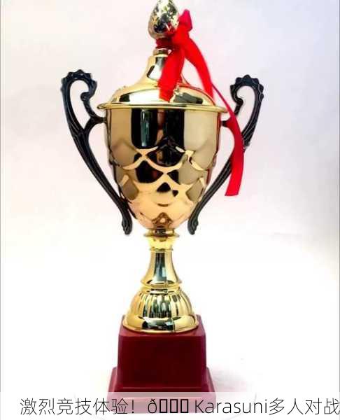 激烈竞技体验！🏆 Karasuni多人对战