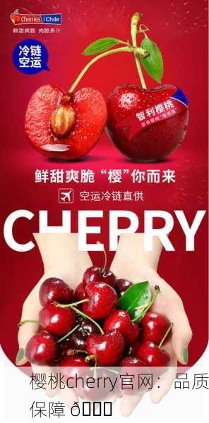 樱桃cherry官网：品质保障 🍒