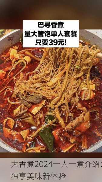 大香煮2024一人一煮介绍：独享美味新体验