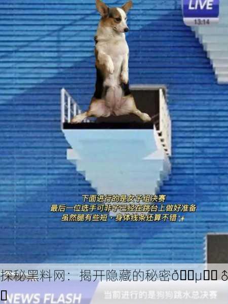 探秘黑料网：揭开隐藏的秘密🕵️‍♂️