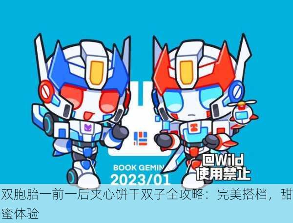 双胞胎一前一后夹心饼干双子全攻略：完美搭档，甜蜜体验