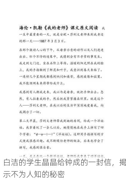 白洁的学生晶晶给钟成的一封信，揭示不为人知的秘密