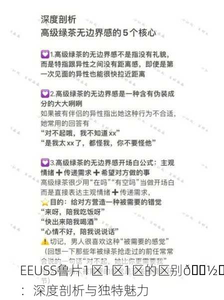 EEUSS鲁片1区1区1区的区别📽️：深度剖析与独特魅力