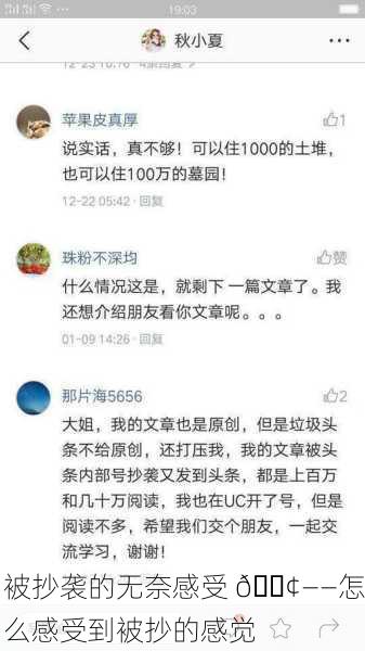 被抄袭的无奈感受 😢——怎么感受到被抄的感觉