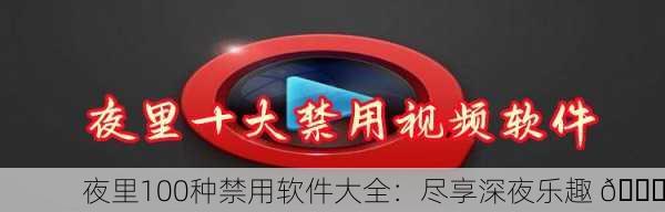 夜里100种禁用软件大全：尽享深夜乐趣 🌙