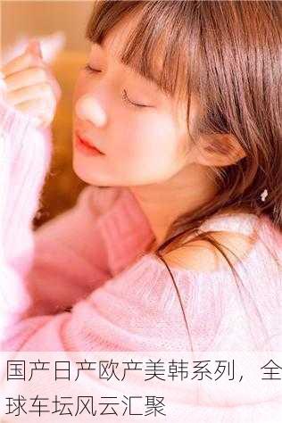 国产日产欧产美韩系列，全球车坛风云汇聚