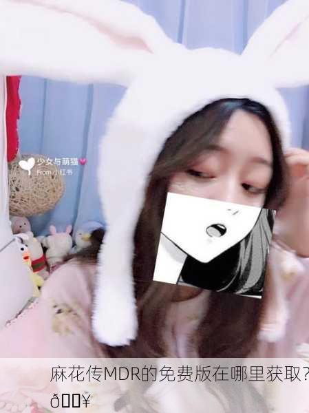 麻花传MDR的免费版在哪里获取？🔥