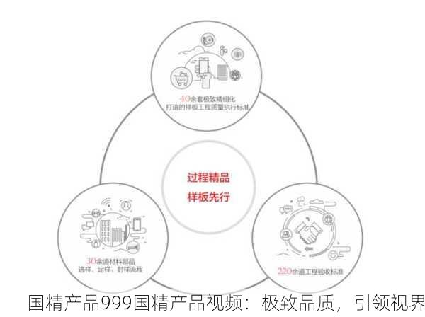 国精产品999国精产品视频：极致品质，引领视界