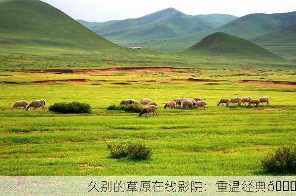 久别的草原在线影院：重温经典🌟