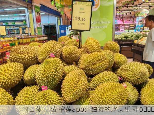 向日葵 草莓 榴莲app：独特的水果乐园 🍓