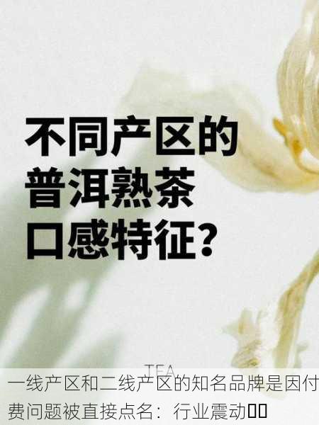 一线产区和二线产区的知名品牌是因付费问题被直接点名：行业震动⚠️