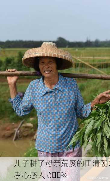 儿子耕了母亲荒废的田清朝：孝心感人 🌾