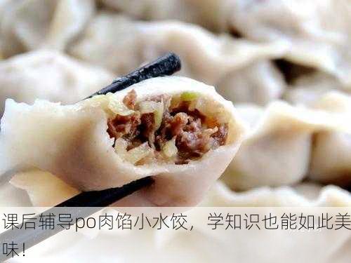 课后辅导po肉馅小水饺，学知识也能如此美味！