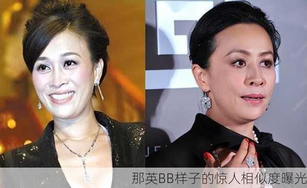 那英BB样子的惊人相似度曝光