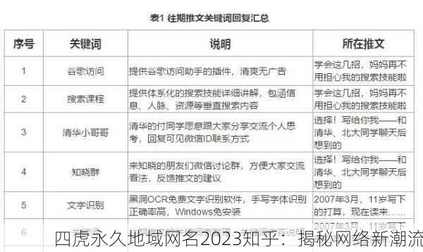 四虎永久地域网名2023知乎：揭秘网络新潮流