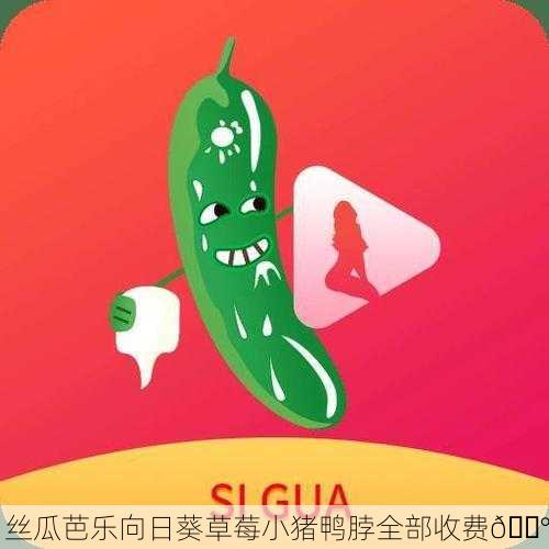 丝瓜芭乐向日葵草莓小猪鸭脖全部收费💰