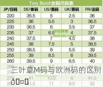 三叶草M码与欧洲码的区别 🤔