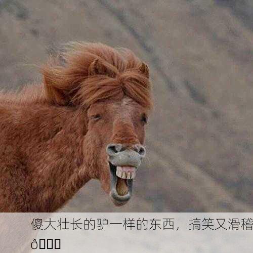傻大壮长的驴一样的东西，搞笑又滑稽😂