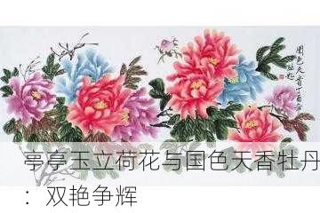 亭亭玉立荷花与国色天香牡丹：双艳争辉