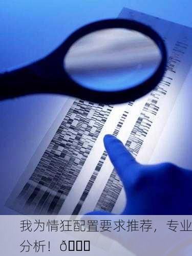我为情狂配置要求推荐，专业分析！🔍