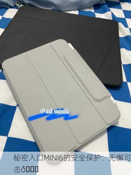 秘密入口MINI6的安全保护：无懈可击🔒
