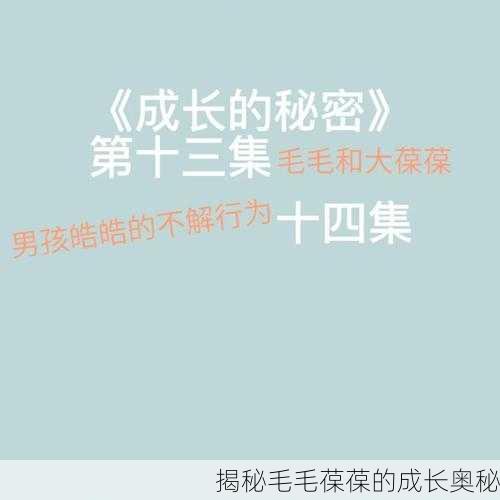 揭秘毛毛葆葆的成长奥秘