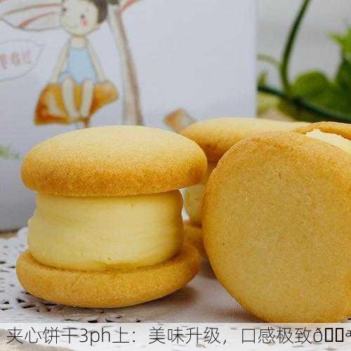 夹心饼干3ph上：美味升级，口感极致🍪
