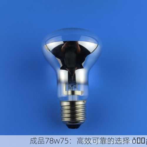成品78w75：高效可靠的选择 💡