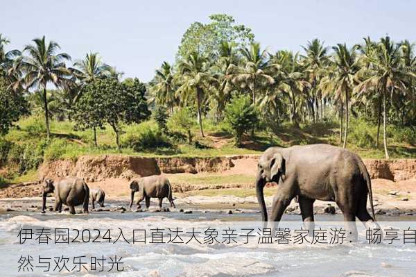 伊春园2024入口直达大象亲子温馨家庭游：畅享自然与欢乐时光