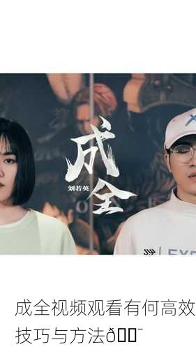 成全视频观看有何高效技巧与方法🎯