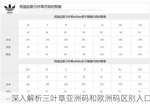 深入解析三叶草亚洲码和欧洲码区别入口