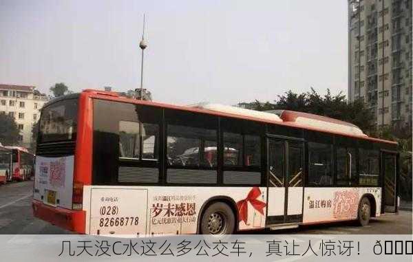 几天没C水这么多公交车，真让人惊讶！🚍