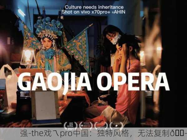 强-the戏ㄟpro中国：独特风格，无法复制🎭
