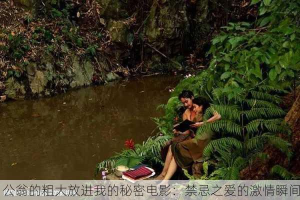 公翁的粗大放进我的秘密电影：禁忌之爱的激情瞬间