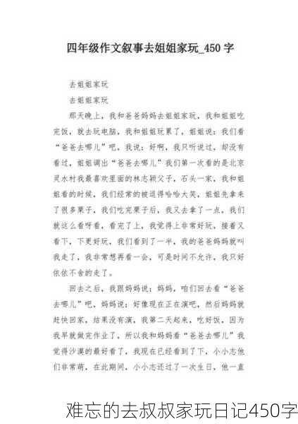 难忘的去叔叔家玩日记450字