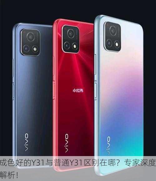 成色好的Y31与普通Y31区别在哪？专家深度解析！