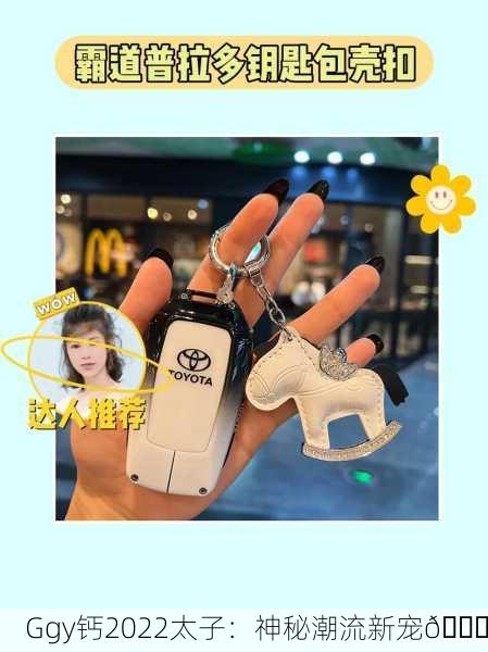 Ggy钙2022太子：神秘潮流新宠👑