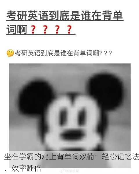 坐在学霸的鸡上背单词双楠：轻松记忆法，效率翻倍