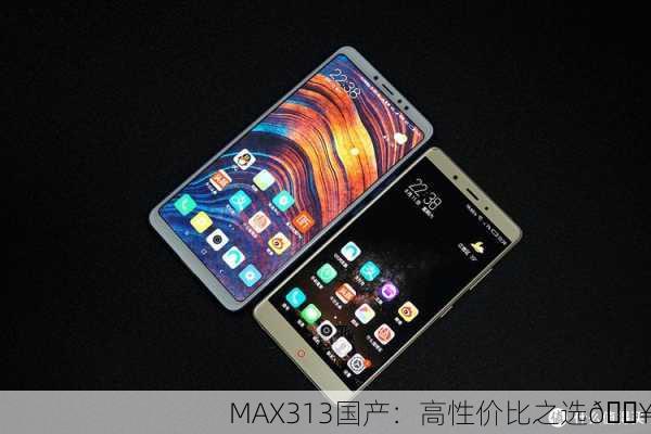 MAX313国产：高性价比之选🔥
