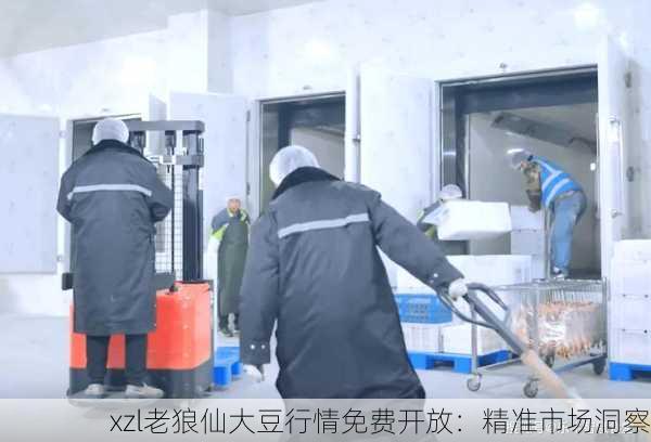 xzl老狼仙大豆行情免费开放：精准市场洞察