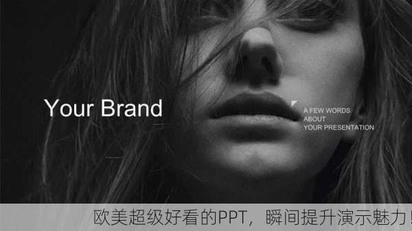 欧美超级好看的PPT，瞬间提升演示魅力！