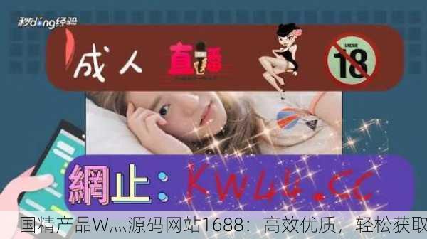 国精产品W灬源码网站1688：高效优质，轻松获取