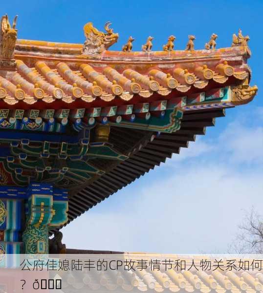 公府佳媳陆丰的CP故事情节和人物关系如何？🌟