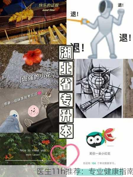 医生11h推荐：专业健康指南