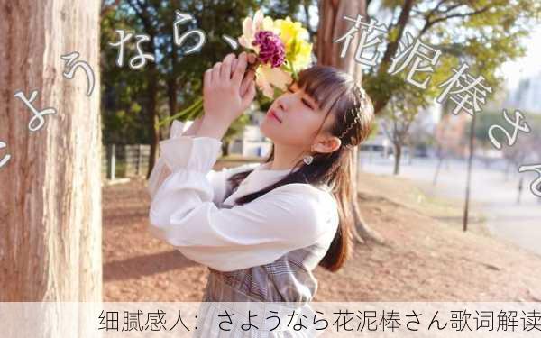 细腻感人：さようなら花泥棒さん歌词解读