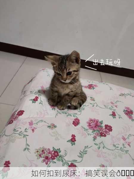 如何扣到尿床：搞笑误会😆